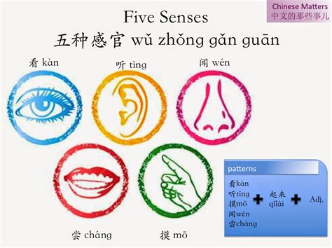 5 senses in chinese